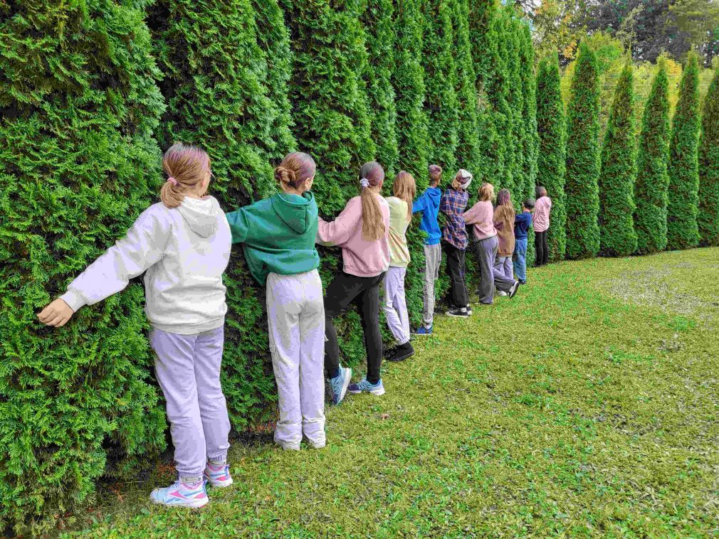 ,,Przytul się do drzewa”